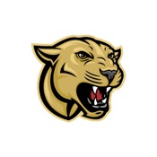 Cornell Grade School, IL