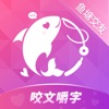 sayhi chat icon