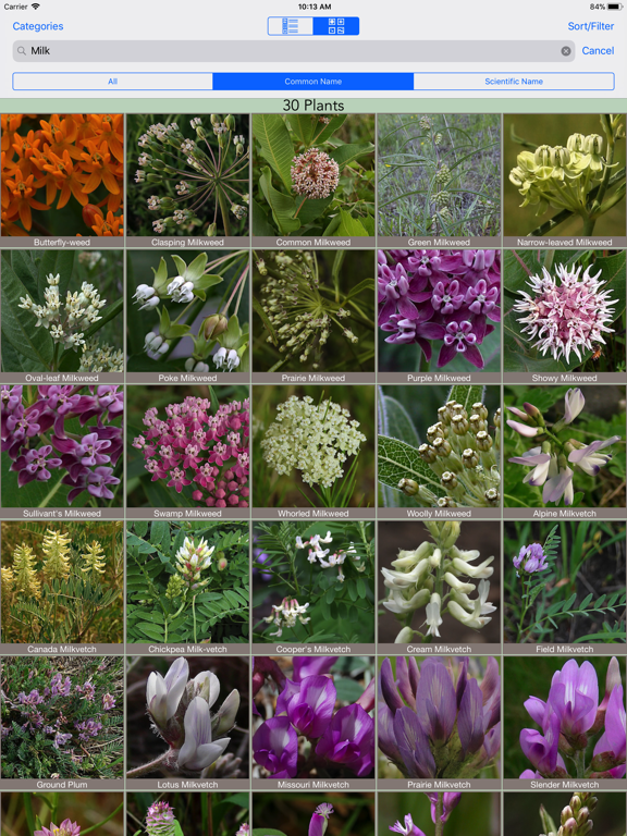 Screenshot #5 pour Minnesota Wildflowers Info.