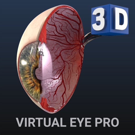 Virtual Eye Pro