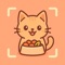 Give your cat the healthiest life - one bowl at a time