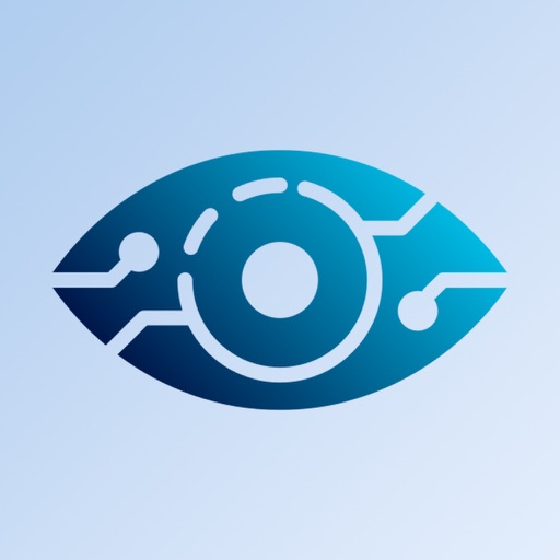 VisionAI: visual assistance
