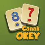 Çanak Okey - Mynet Oyun App Problems