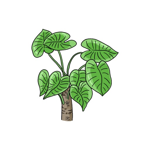 Beautiful leaf painting icon