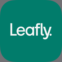 Leafly Find Weed Near You
