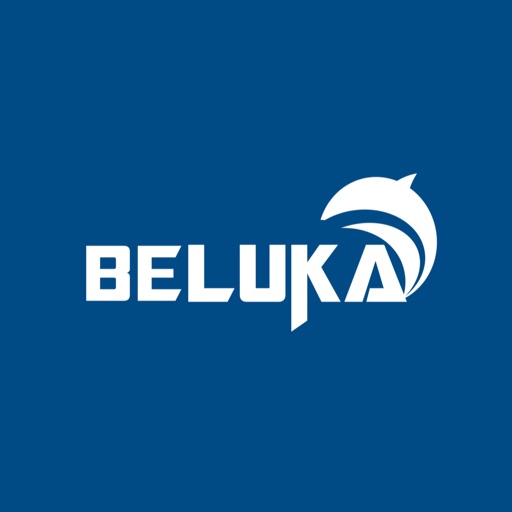 BELuka Node