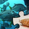 Get Aquatic School Edition for iOS, iPhone, iPad Aso Report