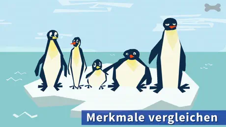 Раскраска для детей | Рисовать