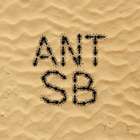 스크린샷 (4) Ant Sandbox