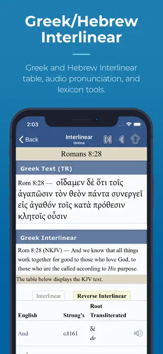 Blue Letter Bible: Screenshot 4 von 5