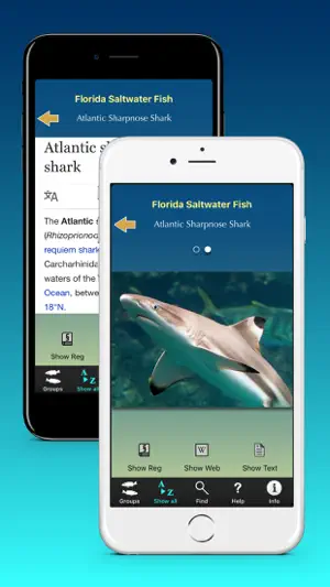 Florida Saltwater Fish screenshot 4