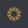 School of Traditional Skills icon