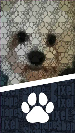 Pixel Shape screenshot 4