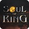 Soul Of Ring