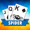 Solitaire Plus Spider Online icon