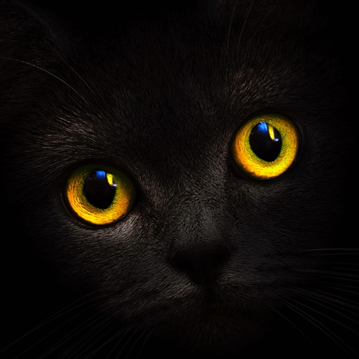 Blackcatcard