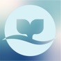 DiveStory app download