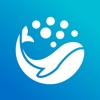 BubblesMapper icon