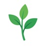 Get Plant Identifier for iOS, iPhone, iPad Aso Report