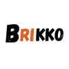 Brikko icon