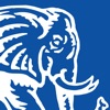 Pink Elephant Education icon