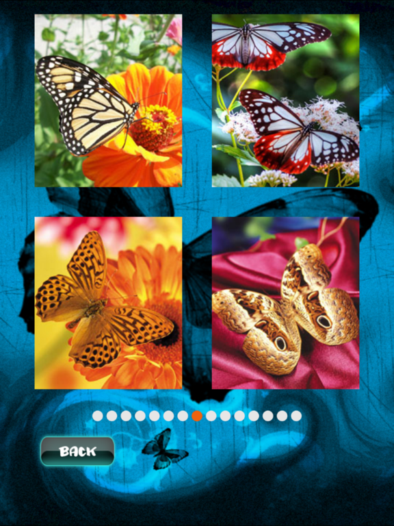 Butterfly Jigsaw iPad screenshot