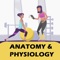 Anatomy and physiology mock exam can be used to support your preparation for the Level 2 Anatomy and Physiology theory assessment