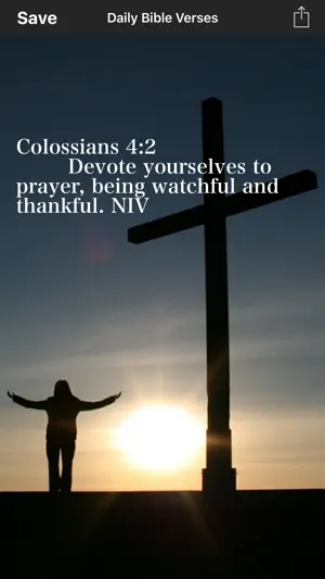Daily Bible Verses screenshot 1