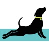 Updog Tulsa NEW icon