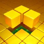 Playdoku: Block Puzzle Game App Negative Reviews