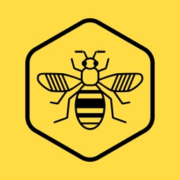Bee Network
