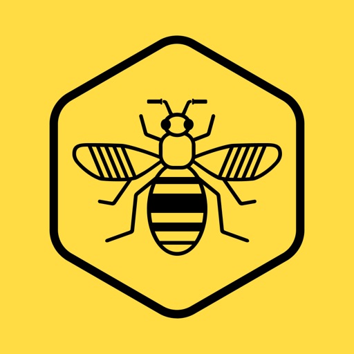 Bee Network