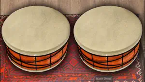 Frame Drum! screenshot 1