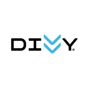 Divvy Bikes