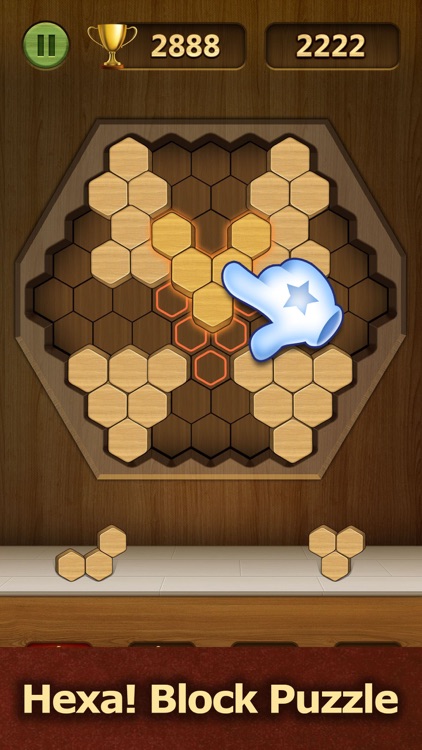 Wood Block Puzzle & Hexa Blast screenshot-0