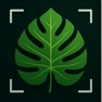 Get Plant Identifier: AI Scan for iOS, iPhone, iPad Aso Report
