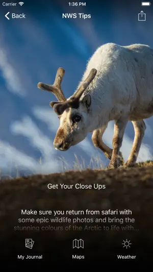 Natural World Safaris screenshot 3
