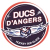 Ducs d'Angers icon