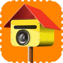 Picture Postie: Photo Prints