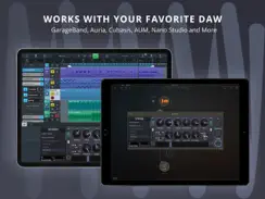 Spring Reverb iPad image 3