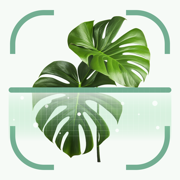 Plant Identifier Care & Health