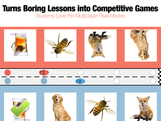 Bitsboard Student iPad screenshot 7 - Education app