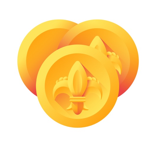 Coin Identifier Scanner Value.