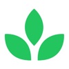 AI Health Coach icon