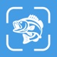 Fish Identifier - AI Angler app icon - Reference app for iPhone