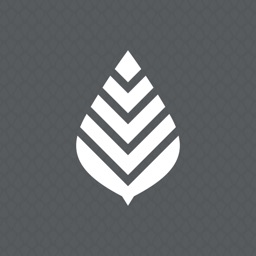 Bay Leaf Baptist