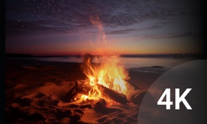 Cozy Fire: Bonfire Wallpapers