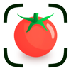 CALANO — Calorie Tracker - CAYDEN JAMES