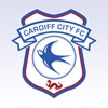 Cardiff City FC icon