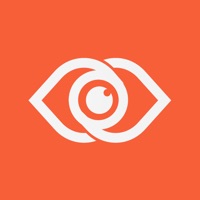 VeegilEye logo